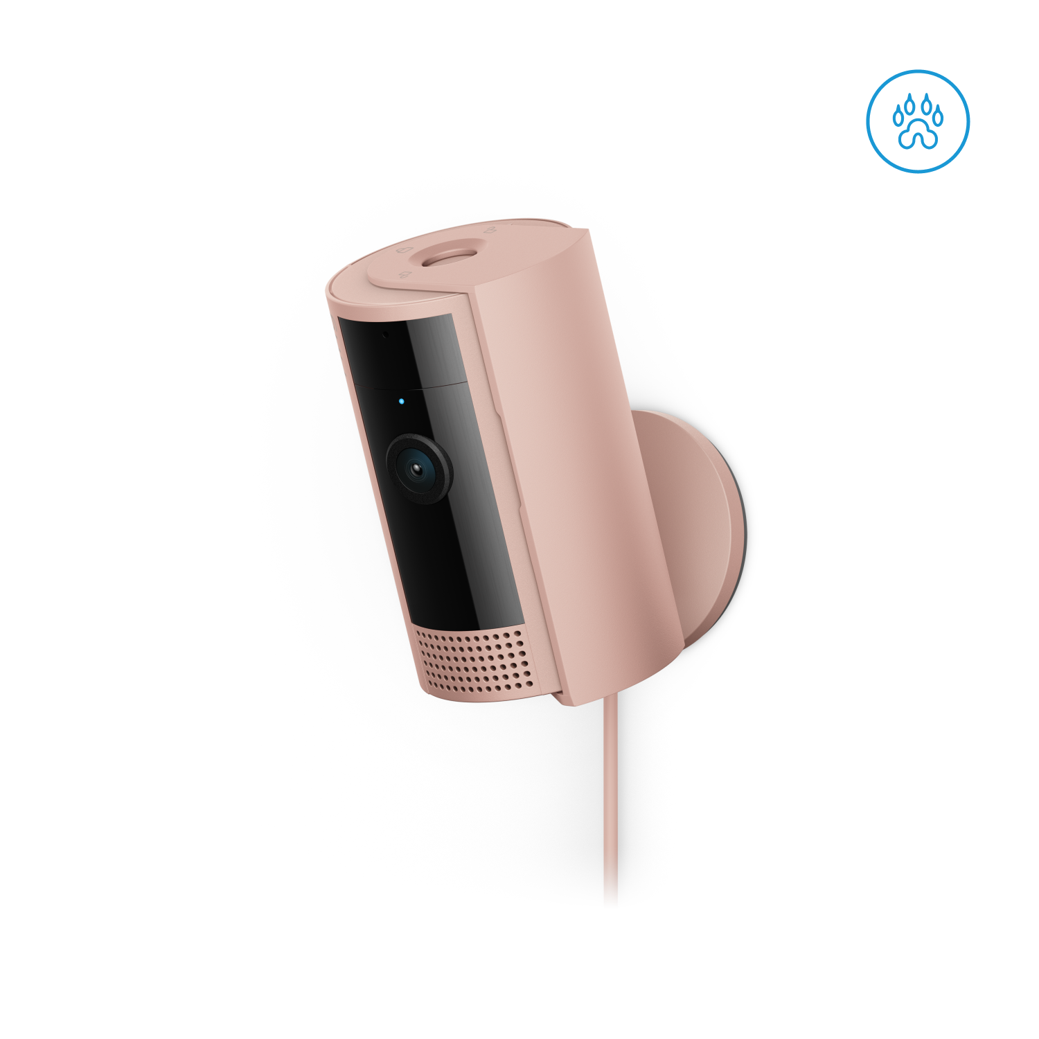 Blush:Indoor Camera (2nd Gen)